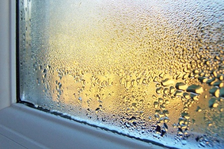 fenetres-avec-condensation.jpeg